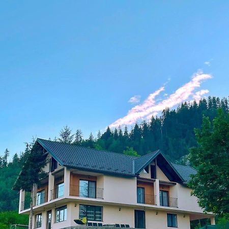 Silver Mountain Villa Colibiţa 外观 照片