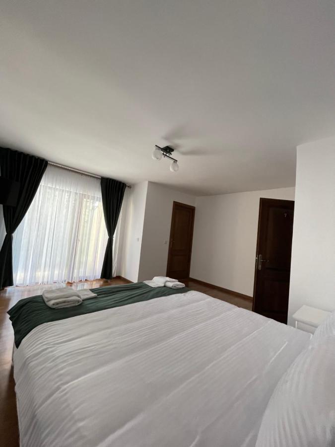 Silver Mountain Villa Colibiţa 外观 照片