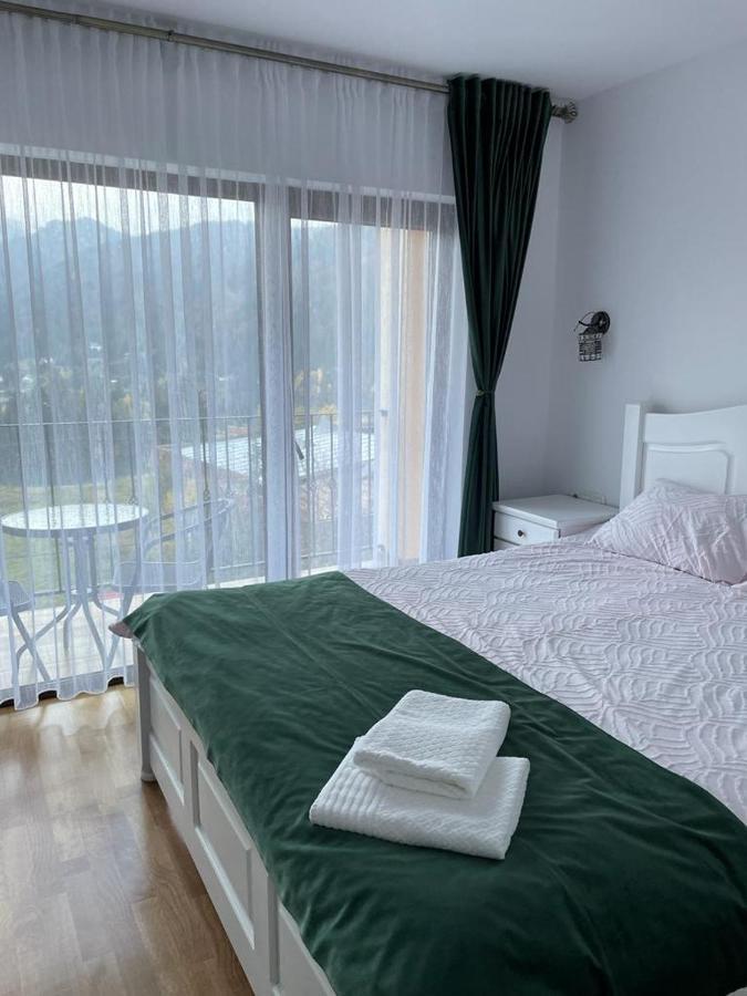 Silver Mountain Villa Colibiţa 外观 照片